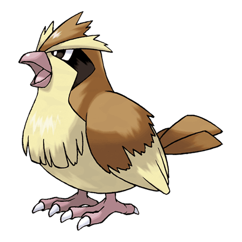 Pokemon pidgey