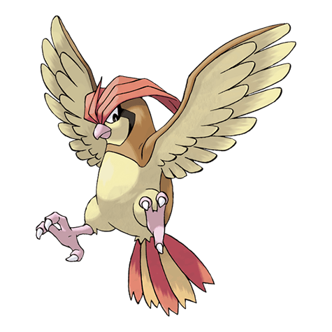 Pokemon pidgeotto