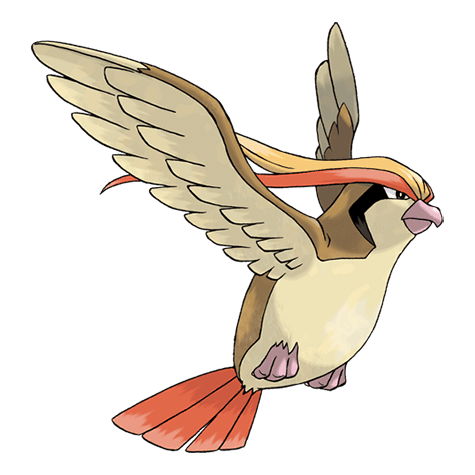 Pokemon pidgeot