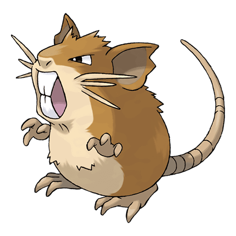 Pokemon raticate