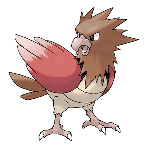 Pokemon spearow