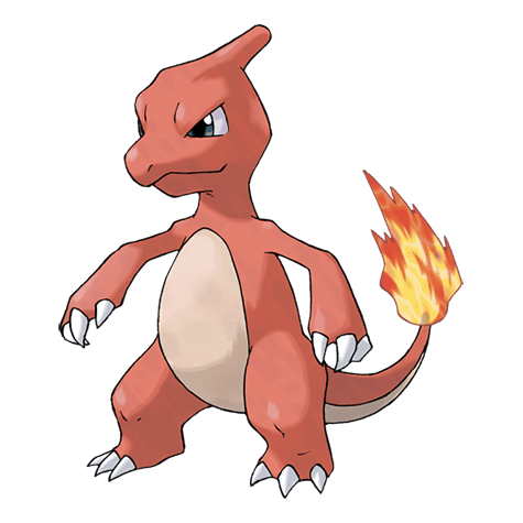 Pokemon charmeleon